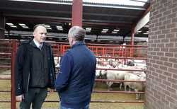 2001 UK foot-and-mouth outbreak - 25 years on: "Infectious diseases do not respect borders or species barriers, and we ignore this at our peril"