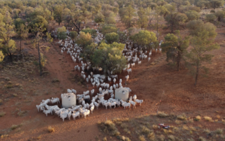  Study: Regenerative agriculture pilot delivers financial and environmental gains