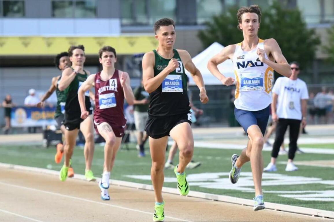 Northern Arizona begins NCAA Outdoor Championships seeking to continue run of success  Sports