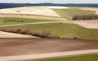 Scotland leads the way for organic farming