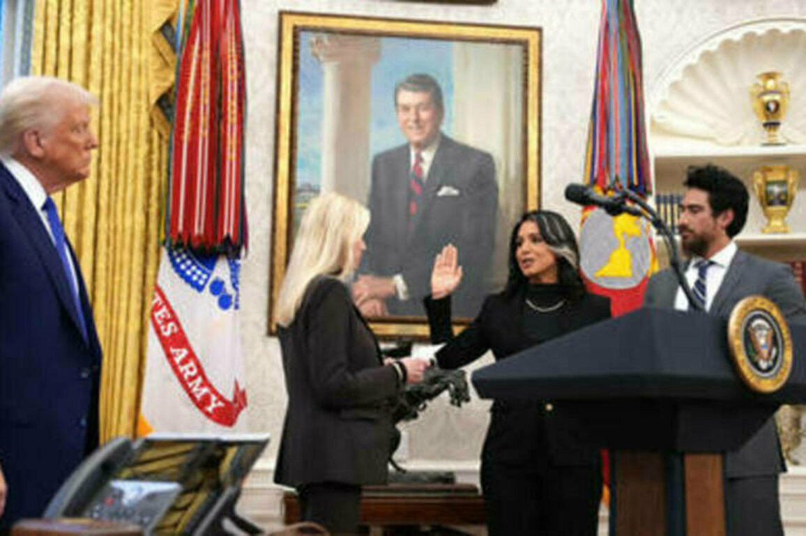 Kiev backtracks on Tulsi Gabbard claims