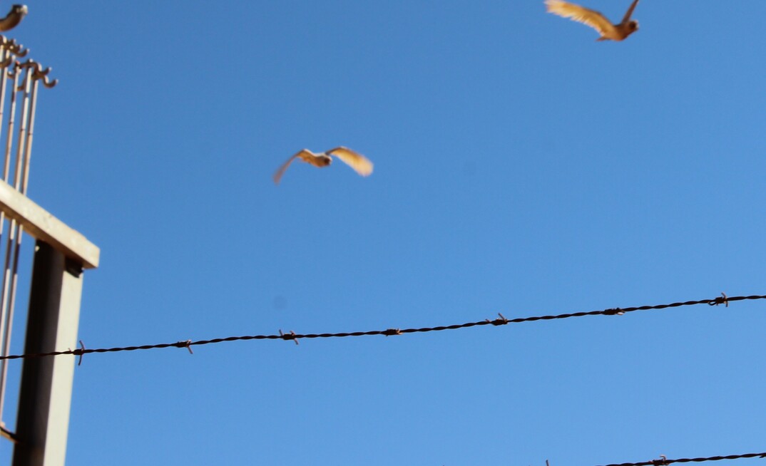 Everyone has the right to a clean and healthy environment.