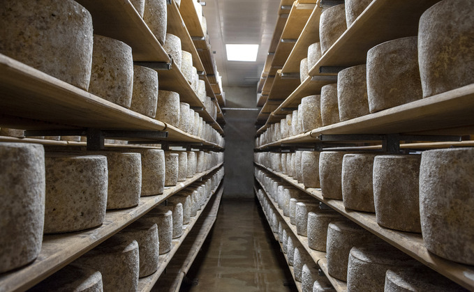 Cheddar cheese is just one food product set to benefit from new Gulf deal