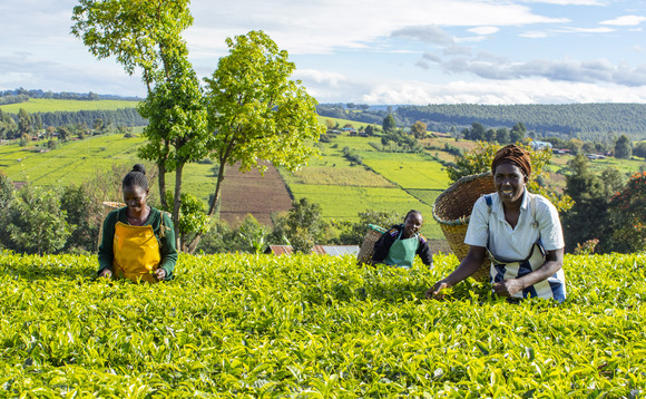 Co-op's partnership with Fairtrade is aimed at supporting farmers affected by climate change | Credit: Fairtrade