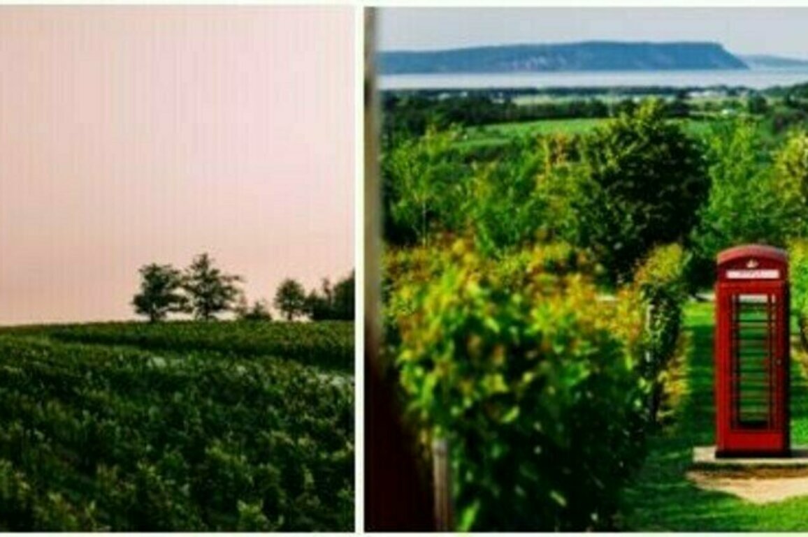 Nova Scotia's wineries uncork new tourism opportunities