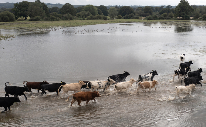 Some counties have faced 300% above average rainfall