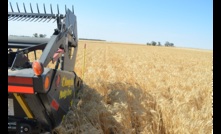  WA has produced a record grain harvest of more than 26 million tonnes. Picture Mark Saunders.