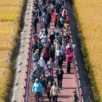 CHINA-HEILONGJIANG-FARMERS' HARVEST FESTIVAL (CN)