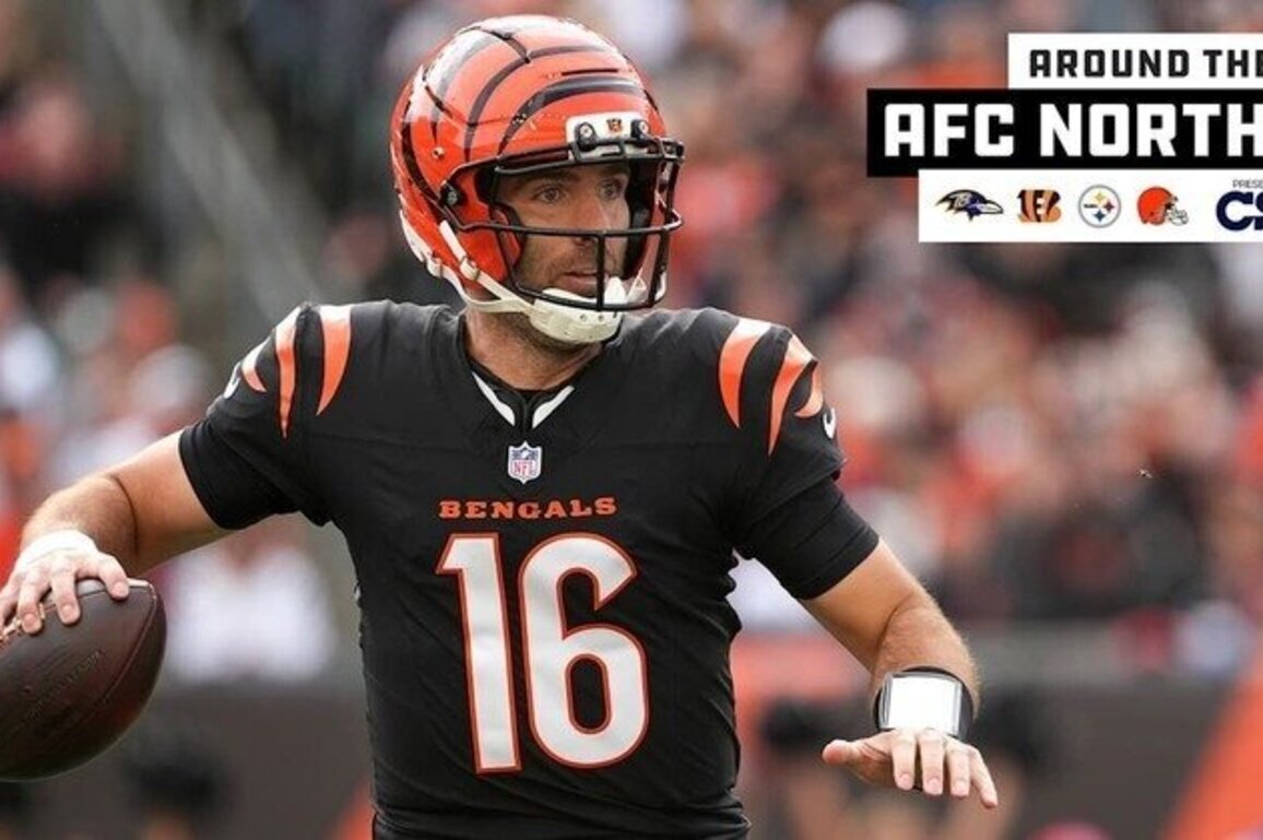 Around the AFC North: Joe Flacco Reportedly Returning to Bengals
