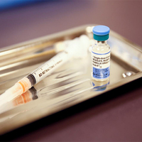 Pakistan: Surge in rabies cases highlights government inaction on vaccine shortage