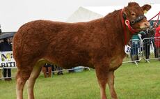 GARSTANG SHOW 2021: Panel judging results in joint inter-breed win
