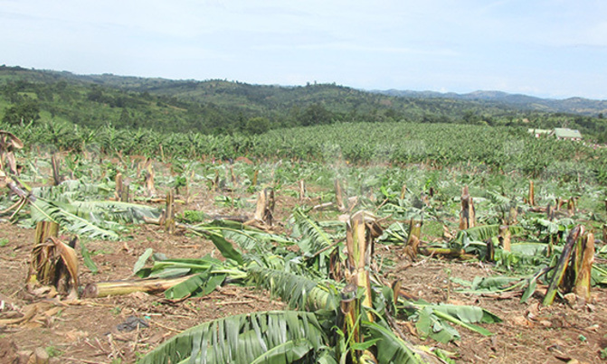 Kyenjojo residents riot, destroy property Kyenjojo residents riot, destroy property