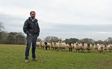 Now we've stopped trying to stop Brexit, farmers must make the most of leaving