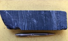 Bornite mineralisation from DD1522, testing the eastern limit of the 350m zone, with assays pending