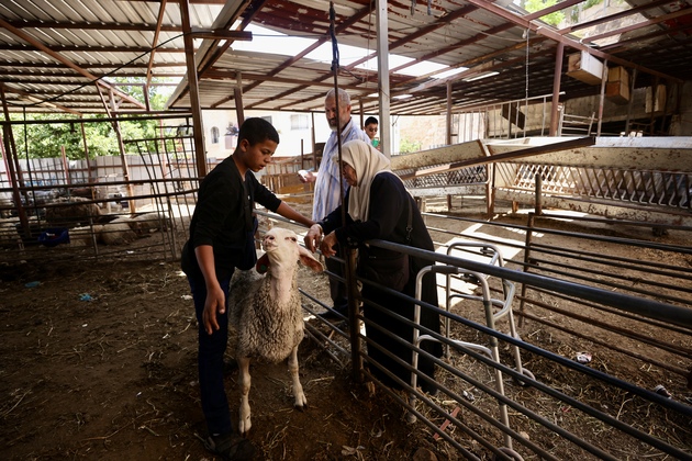 MIDEAST-JERUSALEM-EID AL-ADHA-MARKET