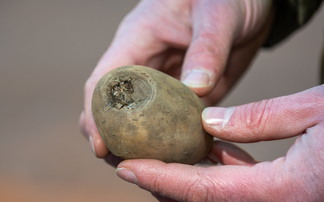 Early disease suppression opportunity for potato seed