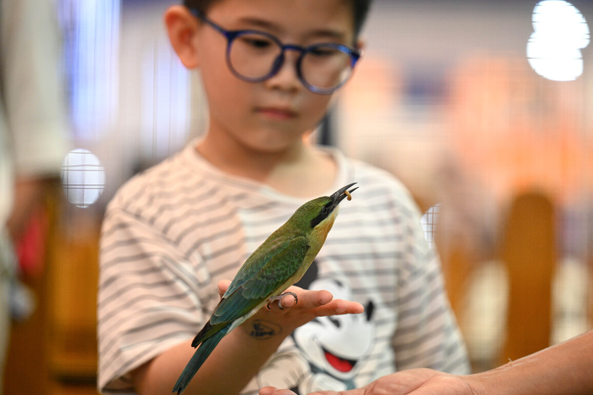 INDONESIA-TANGERANG-PET EXPO