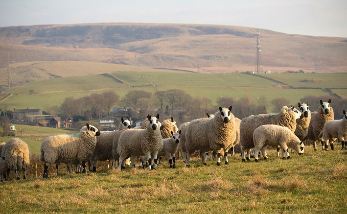 Kerry Hills open up new opportunities