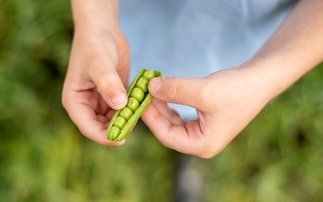 'Yes Peas!' invites young poets to 'give peas a chance' for Great British pea week