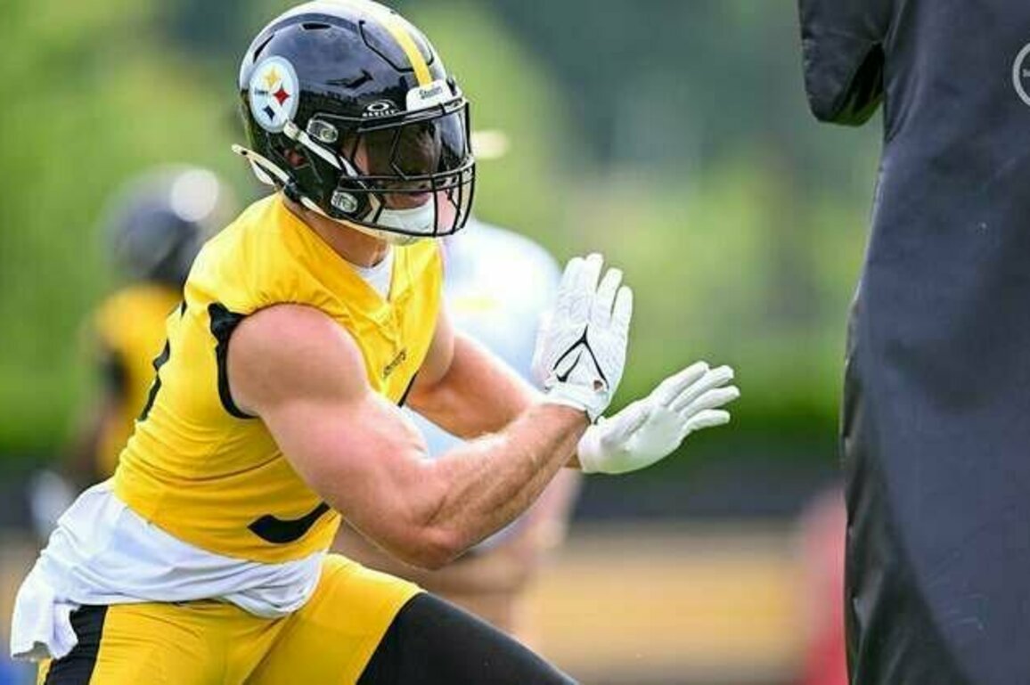 OTAs Blog: A hard-fought return
