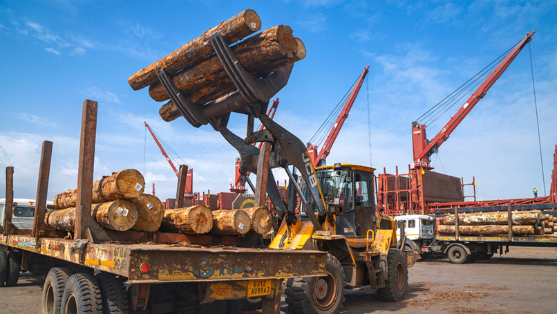Timber imports show strong market recovery