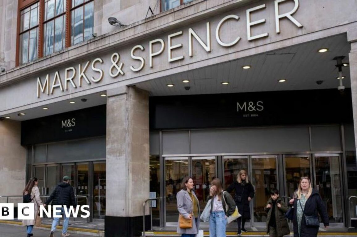 Marks &amp; Spencer online disruption a 'bruise' to reputation, analyst says