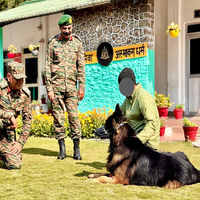 "Wounded yet in high spirits, alert and recovering well," White Knight Corps shares update on assault dog Tyson