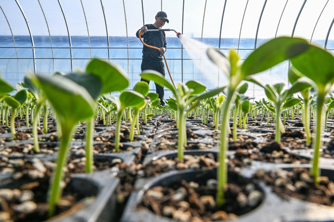 #CHINA-LICHUN-FARMING WORK (CN)