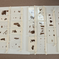 PhotoFlash | U.S. museum returns to China ancient silk manuscripts from Warring States period