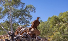 AIC highlights 10 quarters of copper consistency 