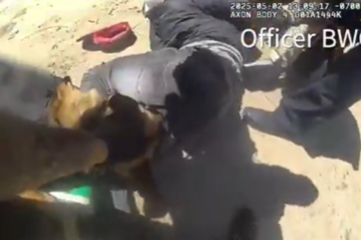 BWC- Man hits Calif. PD K-9 with gun before OIS