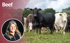 OPINION: Are we breeding out stockmanship from the next generation?