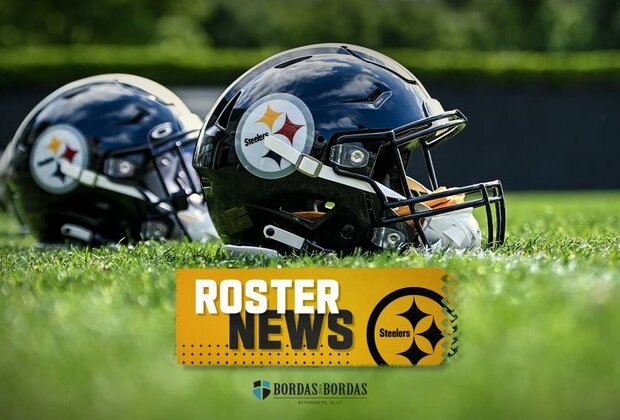 Steelers restore Kazee to active roster