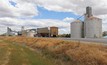 NSW growers may be held up at GrainCorp receival sites from next week, as its workers plan to randomly stop work as part of protected industrial action. 