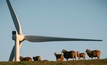Fears after SA renewables fail