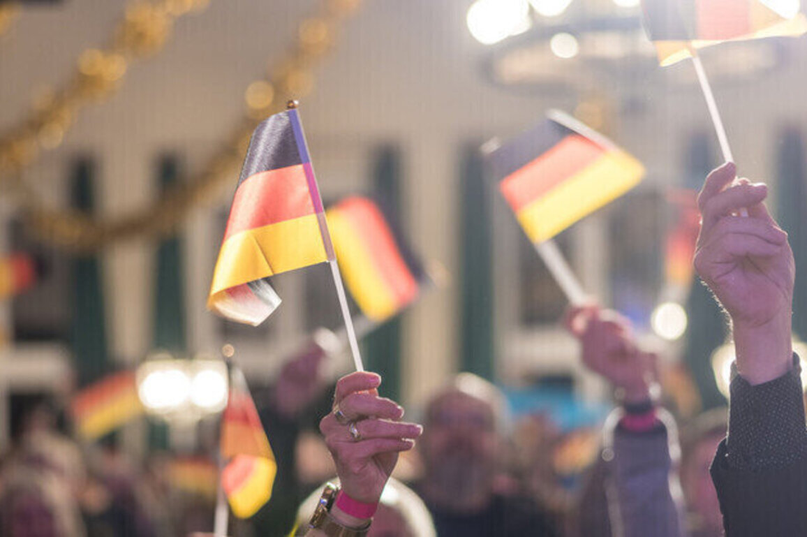 Germanys AfD hits new popularity record  poll