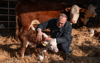 Lib Dems call for £1bn farming boost and urgent bluetongue taskforce