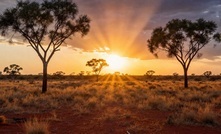 Recharge charges into Leonora gold