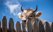 Paulsens is set to be a cash cow. Credit: Patrick Baum/Unsplash