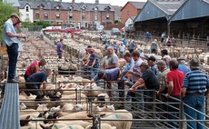 Livestock sales to resume at Builth Wells auction mart under site's new ownership