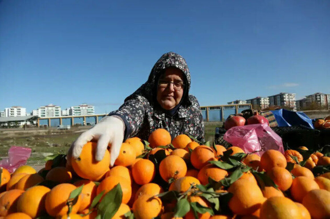 Street vendors are workers - they should have workers' rights