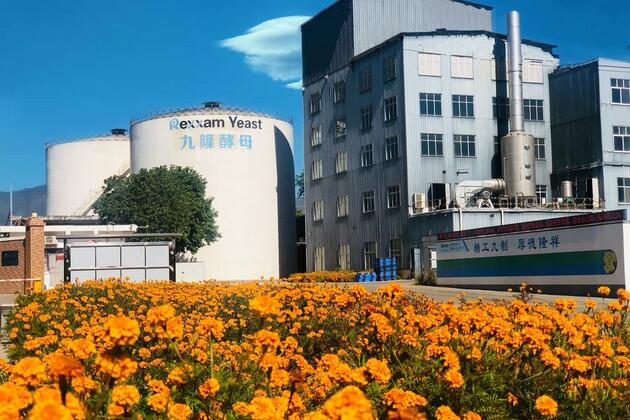 Foreign investment expands southwest China's "sweet" industry chain