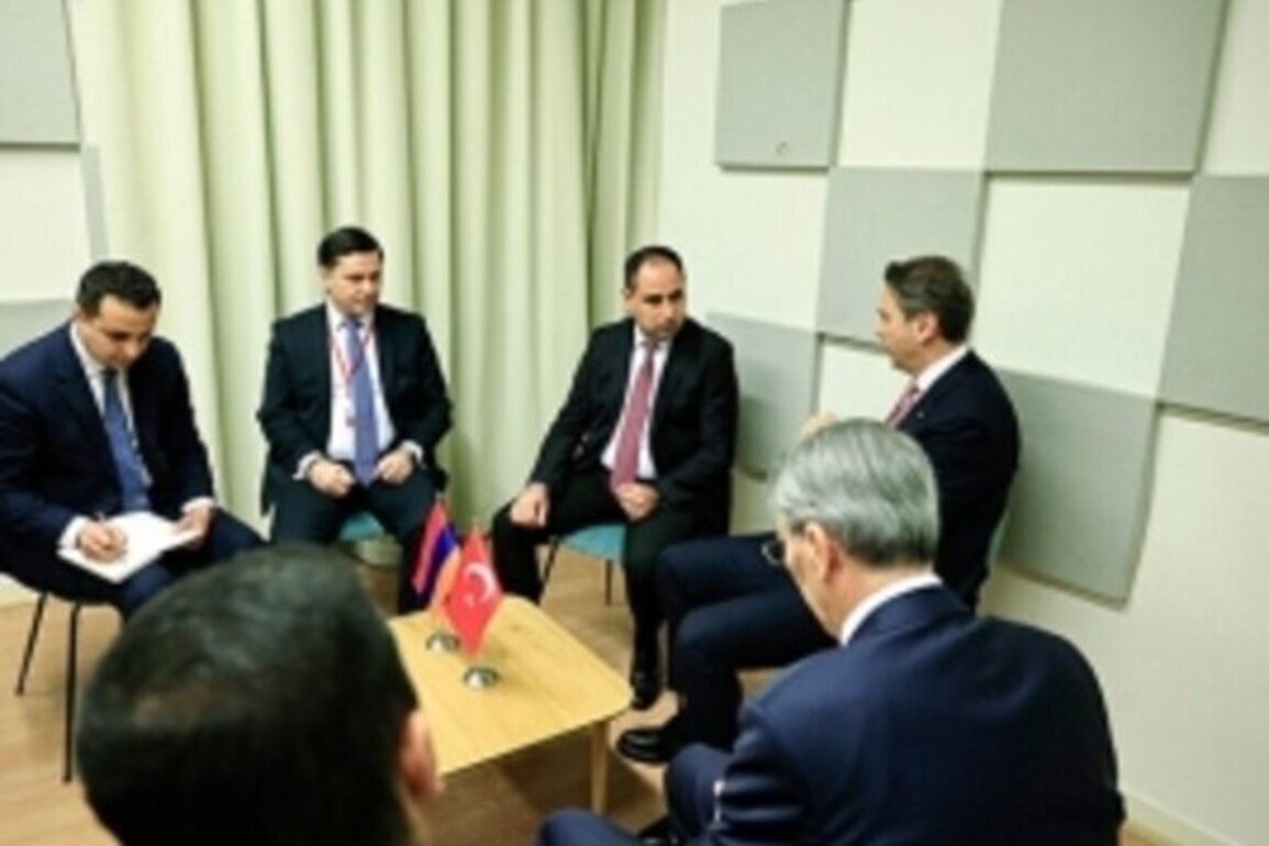 Armenia, Turkey discuss energy cooperation prospects
