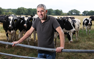 Dairy Matters: "Staying informed about market trends is now essential practice for all UK dairy farmers"