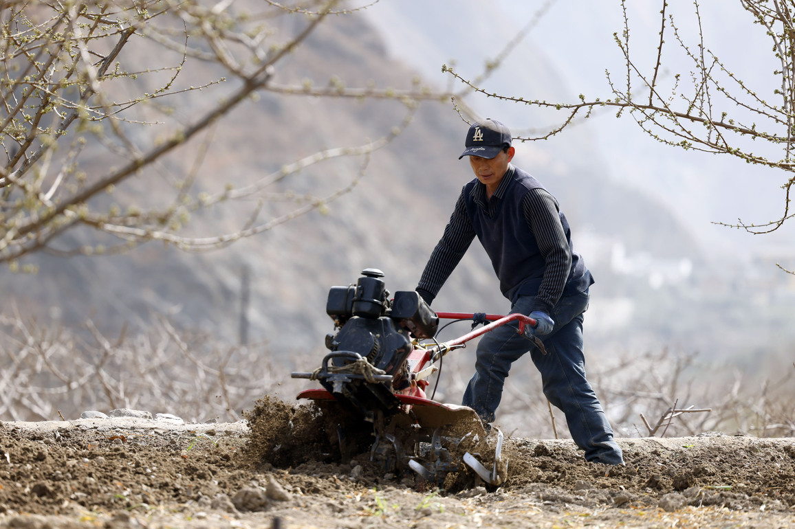 Irrigation-soil interaction study enlightens arid-region farming