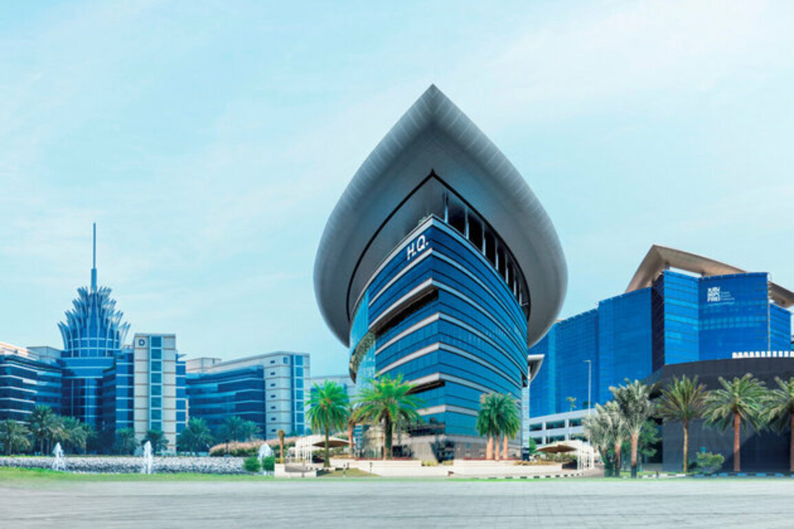 DIEZ trade surges 19% to AED336 billion in 2024