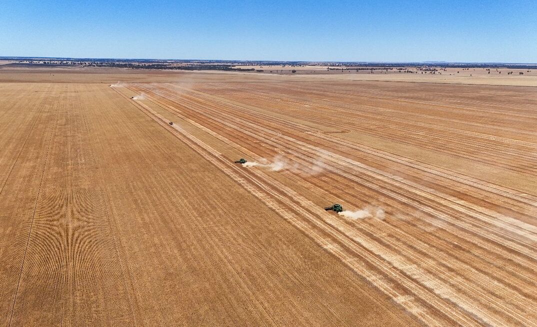 ABARES is predicting Australia's second-largest winter crop on record, despite mixed conditions.