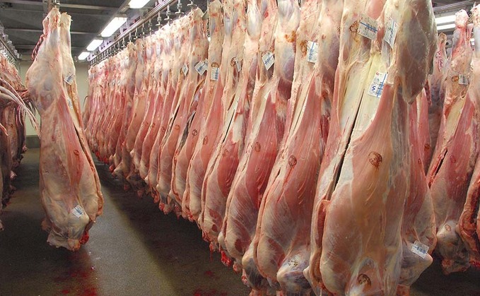 Trade deals set to hit UK with fresh wave of abattoir closures
