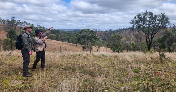 Mila anxiously waiting on for maiden drilling results