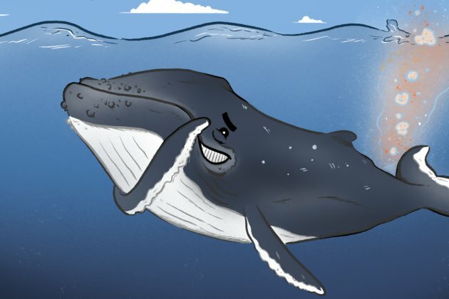 Curious kids: do whales fart and sneeze?